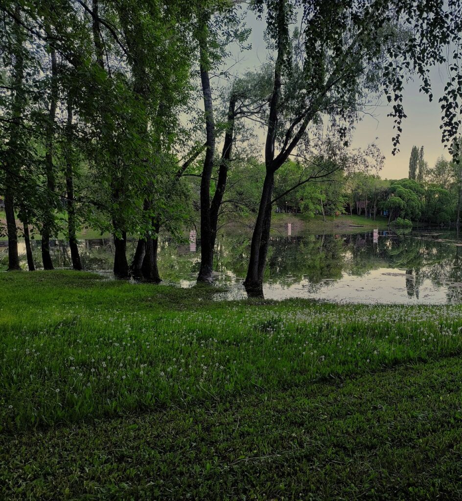 Николай и Дарья - приглашение на свадьбу