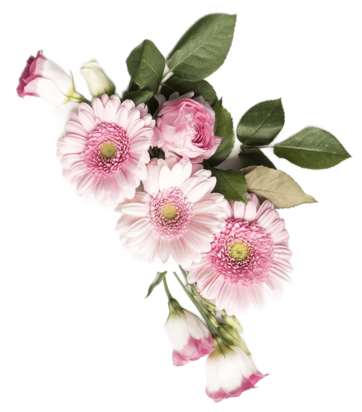 5278d169-1f3e-456e-9480-3631506fa805-e1722453052637.png